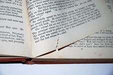 Times Red Cross Story Book Additional Image