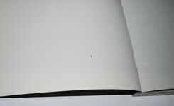 Vietnam River Warfare, 1945-75 Additional Image