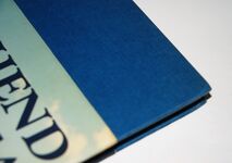 Southend-On-Sea A Pictorial History Additional Image