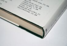 The Rise and Fall of an American Army U. S. Ground Forces in Vietnam, Additional Image