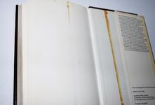 Catapult to Freedom Additional Image