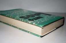 Into Laos Story of Dewey Canyon II/Lamson 719, Vietnam, 1971 Additional Image