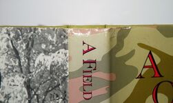 A Field of Innocence An Autobiography Additional Image