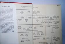 The Endless Web John Dickinson & Co. Ltd, 1804-1954 Additional Image