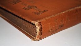 The Boer War-1899-1900 from the Ultimatum to the Occupation of Additional Image