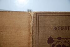 Robert Browning, Additional Image