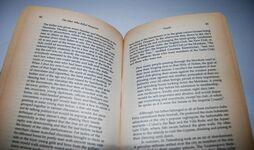 The Murder of Rasputin The Truth about Prince Felix Youssoupov and the Mad Additional Image