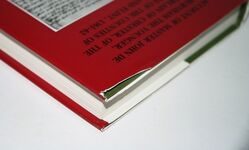 Account of Master John De Burnham the Younger, Chamberlain of Chester, of Additional Image