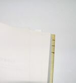 Silent Rebels Additional Image