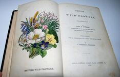 British Wild Flowers Described, with an Introduction and a Key to the Additional Image