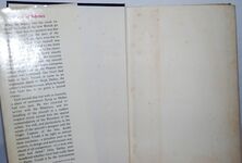 Cone of Silence Additional Image