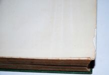 A Cricket Eleven An Anthology of Cricket Short Stories with Verses Additional Image