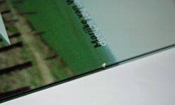 Marijke Van Warmerdam De Zwan En Het Schaap Additional Image