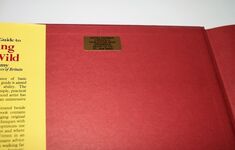 The Practical Guide to Painting in the Wild Additional Image