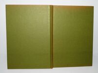 Sunlight in the Shadows The Landscape of Emily Carr Additional Image