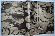 Nymph and Naiad Additional Image