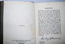 Mauled by a Tiger. Additional Image