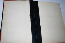 Forest Life in India Additional Image