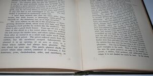 GAME and GAME COVERT Additional Image