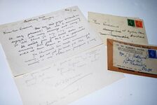 A Woodland Garden Additional Image