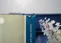 HYDRANGEAS a Gardener's GUIDE Additional Image