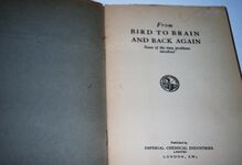 From Bird to Brain and Back Again Additional Image