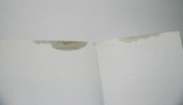 BRITISH FLIGHT TESTING Additional Image