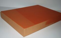 Life A Natural History of the First Four Billion Years of Life on Earth Additional Image