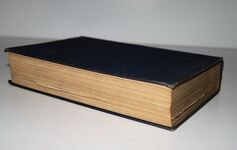 Zeppelin Adventures,  Collected and Compiled by Rolf Marben; Translated Additional Image