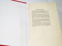 Sunset Flight Additional Image