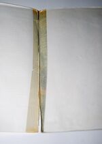 Sunset Flight Additional Image