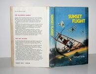 Sunset Flight Additional Image