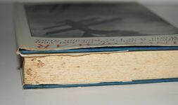 Wings of War A German Airman's Diary of the Last Year of the Great War Additional Image