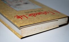 A Fortunate Life Additional Image