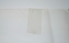 The Man Who Found the Missing Link The Life and Times of Eugene: the Additional Image