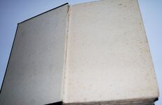 A Dictionary of Trout Flies and of Flies for Sea-Trout and Grayling Additional Image