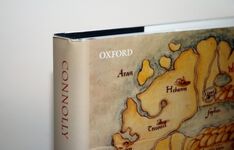 Contested Island Ireland 1460-1630 Additional Image