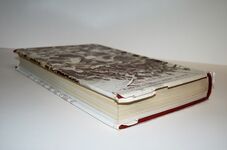 South Africa Field Force Casualty List 1899-1902 Additional Image