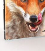 A Foxer's Year Tips. Techniques, Fieldcraft Additional Image