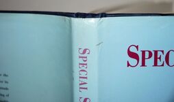 Special Shape Rodeo Kodak Albuquerque - International Balloon Fiesta Additional Image