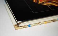 Poole Pottery Carter and Co. and Their Successors, 1873-1995 Additional Image