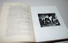 The 7TH (Queen's Own) Hussars Additional Image