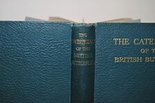 The Caterpillars of the British Butterflies Including the Eggs Chrysalids Additional Image