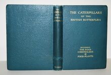 The Caterpillars of the British Butterflies Including the Eggs Chrysalids Additional Image