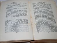 Sagittarius Rising Additional Image