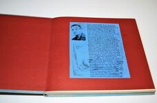 Polish Arms Side-Arms Additional Image