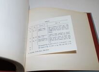 Polish Arms Side-Arms Additional Image