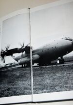 Giants in the Sky Additional Image