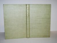 The Wing -  Confessions of an RAF Officer Additional Image