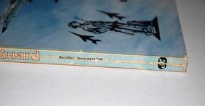 The Air Guard 2 Additional Image